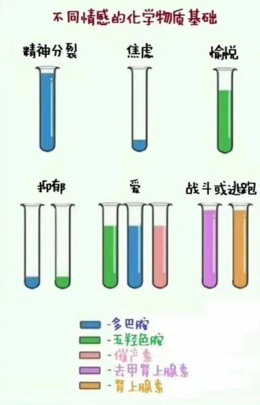 氯氮平的疗效与副作用机制