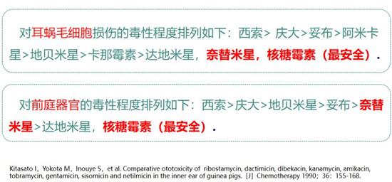 硫酸奈替米星注射液