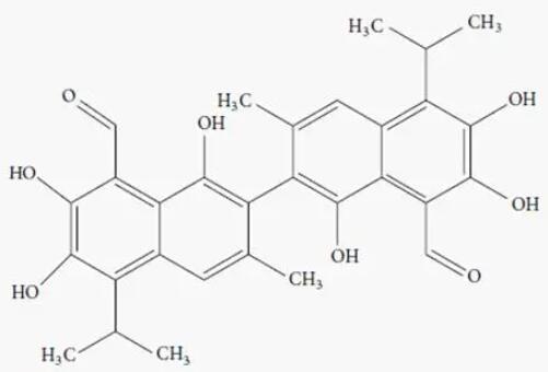 微生物发酵降解棉粕游离棉酚研究进展