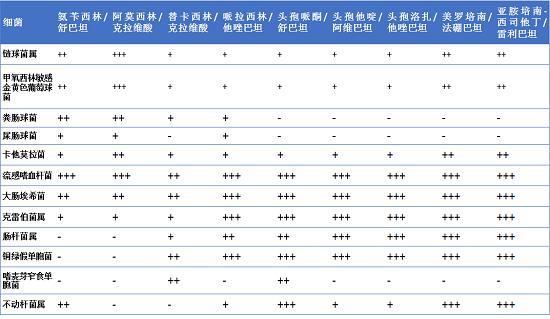 β-内酰胺酶抑制剂复方制剂，你了解多少？