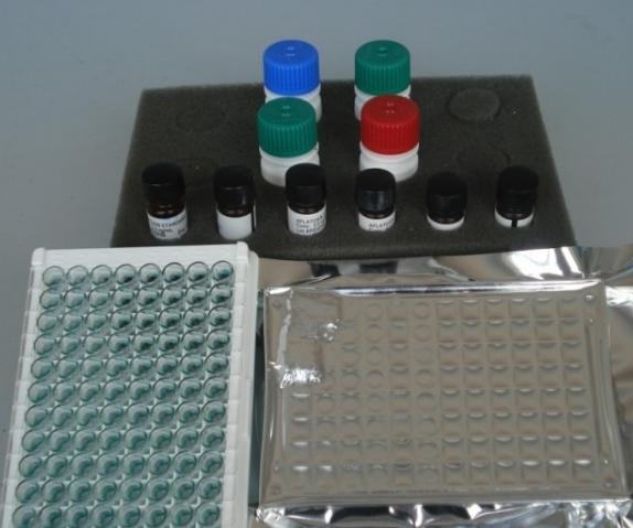 人17Β-雌二醇(17Β-E2)ELISA试剂盒