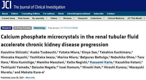JCI: 磷酸钙颗粒加速CKD进程