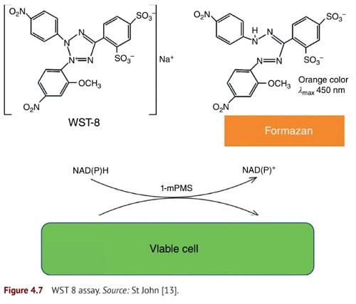 WST-8