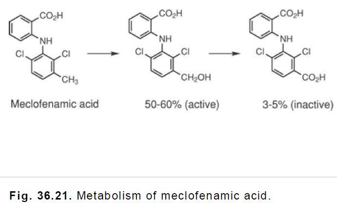 Metabolism of meclofenamic acid..jpg
