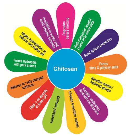 Characteristics of chitosan