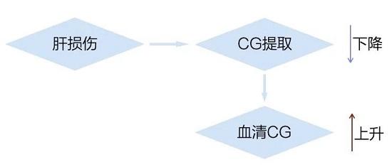 甘胆酸——肝胆疾病的指示灯