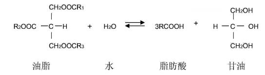 用菜油脂肪酸生产油酸丁酯的工艺方法