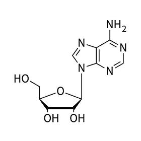 腺嘌呤核苷.png