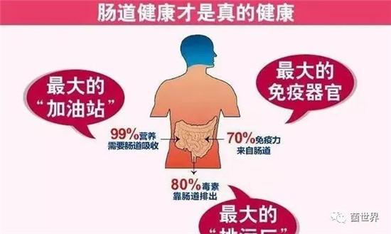 吃乳酸菌有什么好处 乳酸菌的8大神奇功效