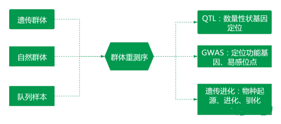 基因组重测序技术