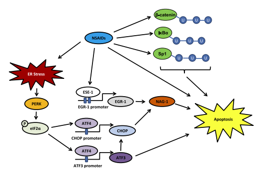 802855-66-9 Mechanism of eutyloneclinical applications of eutylonetoxicity of eutylone