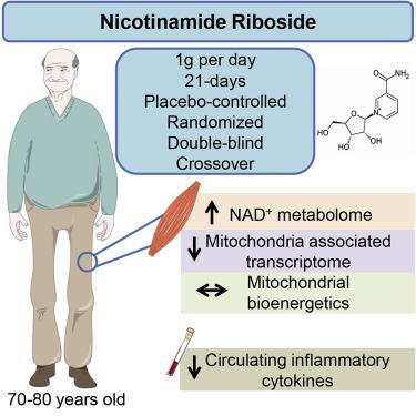 98-92-0 Nicotinamide Riboside BenefitsSide EffectsDosage