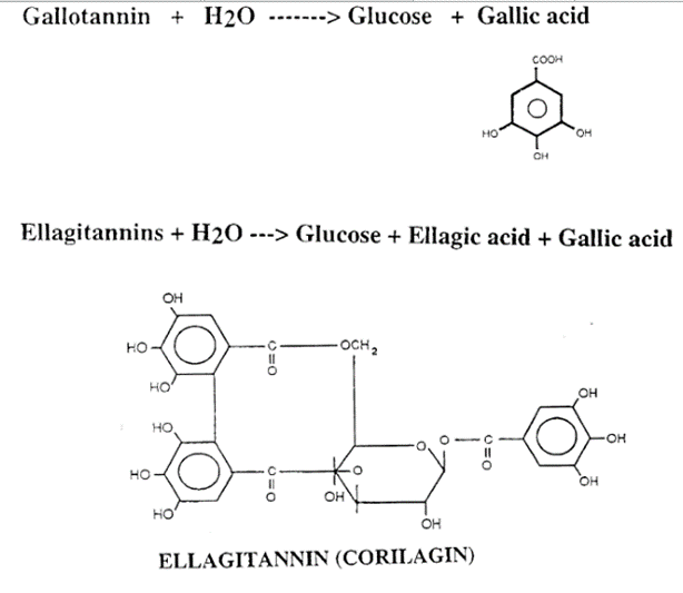 611-59-6 1,7-DimethylxanthineSynthesis of 1,7-DimethylxanthineHazards of 1,7-Dimethylxanthine