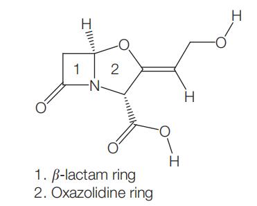  Amoxicillin–clavulanic acidAntimicrobial ActivitySusceptibilityAdministrationDosage
