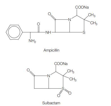 69-53-4 Ampicillin–Sulbactam Antimicrobial ActivitySusceptibilityAdministrationDosageClinical Use