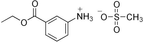 886-86-2 Tricaine MethanesulfonateDesignated usesMechanism of actionpreparationSafety control