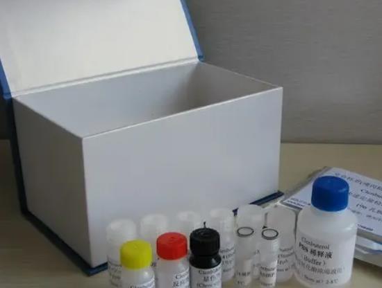 兔子硫氧化还原蛋白(TRX)ELISA试剂盒