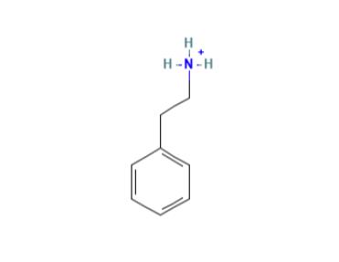 64-04-0 2-phenylethanaminium；metabolite；Application；Synthesis