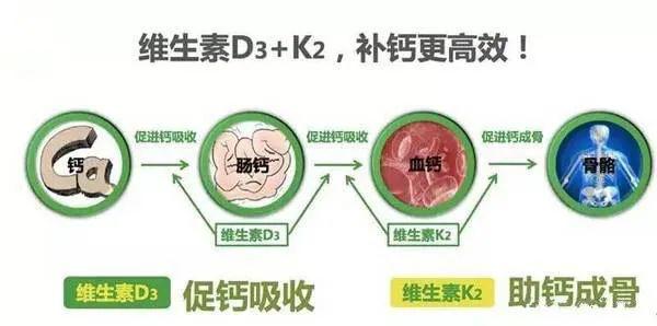 维生素K2的作用及功能，适用人群及注意事项