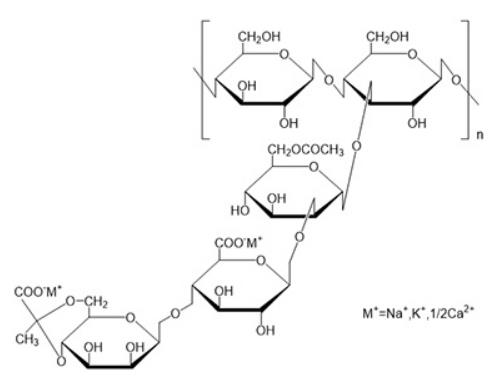キサンタンガム 構造