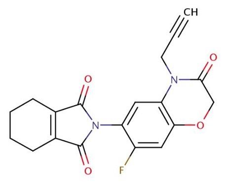 丙炔氟草胺的作用机制