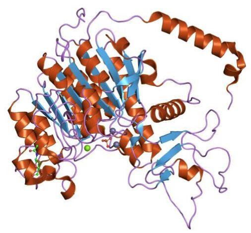 phosphatase.jpg