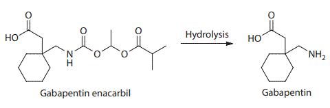 Structure and hydrolysis of gabapentin enacarbil to the active gabapentin