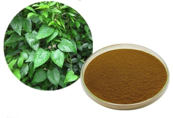 Celastrus angustifolia extract.jpg