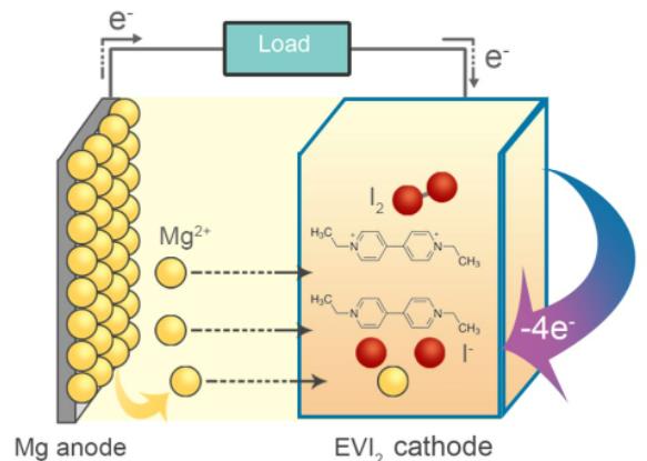AEnM：基于乙基紫精有机正极的高能量密度二次镁电池