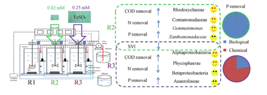 533-67-5 2-Deoxy-D-ribosegelApplication