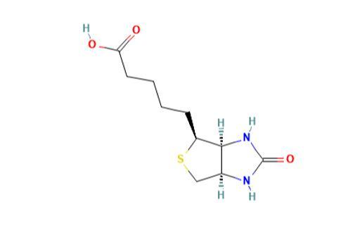 244761-29-3 Lithium bis(oxalate) borateLiBOBelectrolyte additiveelectrochemical