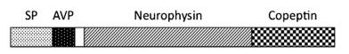 Gene, mRNA, and precursor