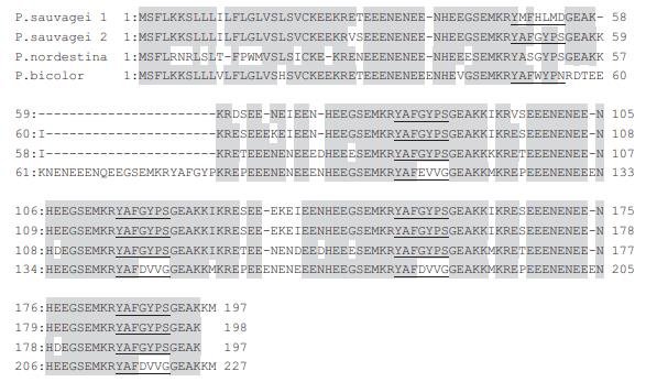 Gene, mRNA, and precursor