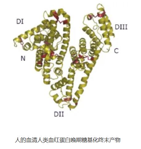 人的血清人类血红蛋白晚期糖基化终末产物测定