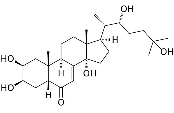 61583-57-1 prothoracicotropic hormonePTTHStructuresynthesis and releaseBiological functions