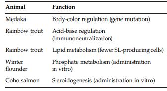 function of somatolactin