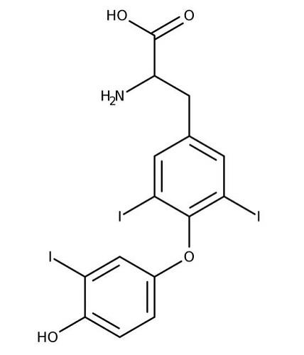 6893-02-3 3,3',5-Triiodo-L-thyronineStructureSynthesisBiological functionsUse