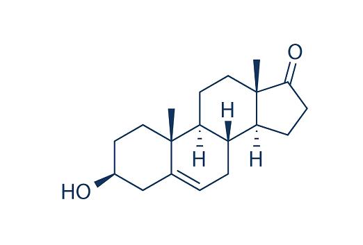 Dehydroepiandrosterone.png