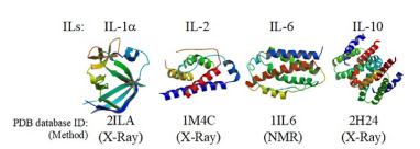 IL-1α (159 aa residues) 