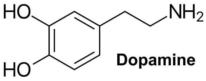 551-92-8 1,2-Dimethyl-5-nitroimidazole; Synthesis; Application; Bioactivity 