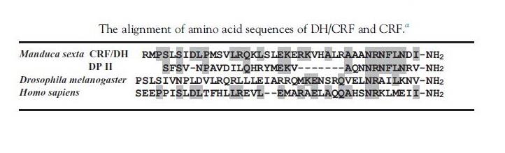 86784-80-7 corticotropin-releasing factor (CRF)StructureDiscoverySynthesis and releaseBiological functions