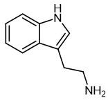 61-54-1 Tryptamine; Synthesis；Physicochemical property; Detection; Application
