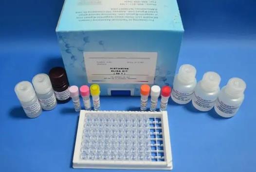 大鼠尿肌酐(UCR)ELISA试剂盒的应用