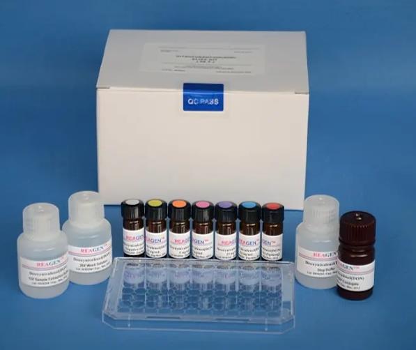 大鼠透明质酸结合蛋白(HABP)ELISA试剂盒的应用