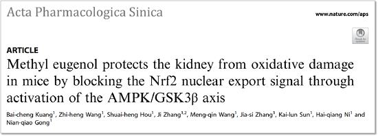 APS︱宫念樵课题组发现天然化合物甲基丁香酚调控Nrf2减轻肾脏氧化应激损伤