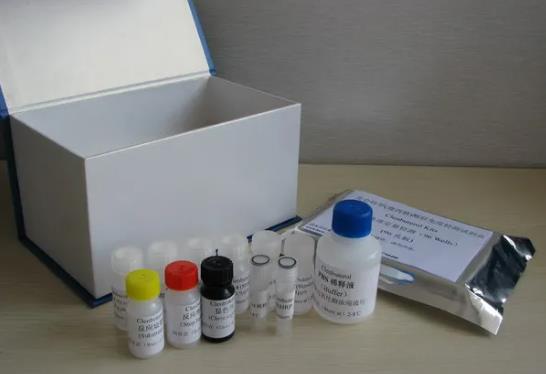 人Ⅲ型前胶原氨基端肽(PⅢNT)ELISA 试剂盒的应用