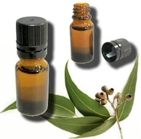 Eucalyptus oil.jpg
