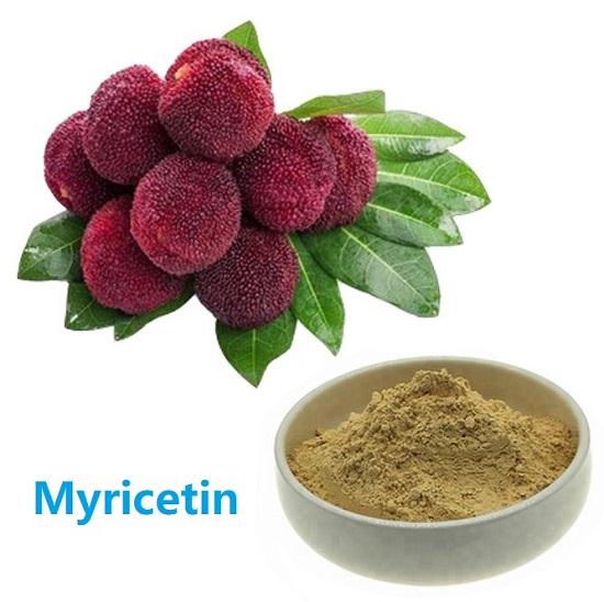 Preparation of Myricetin