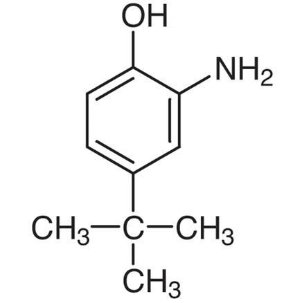 2-Amino-4-tert-butylphenol.jpg