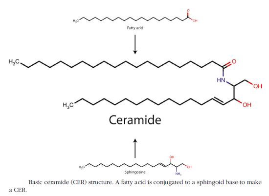 534-17-8 Cesium CarbonateUnactivated EstersAmino Alcohol DerivativesDirect Amidation
